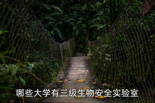 廣州有多少p3實驗室，P3實驗室