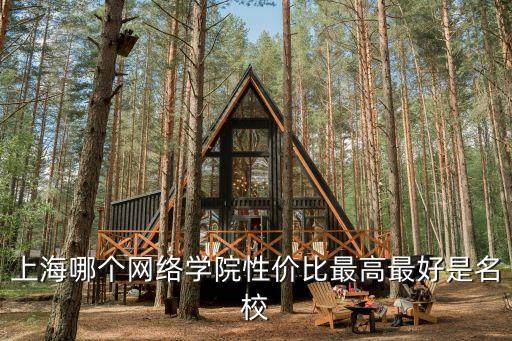 上海哪個網絡學院性價比最高最好是名校