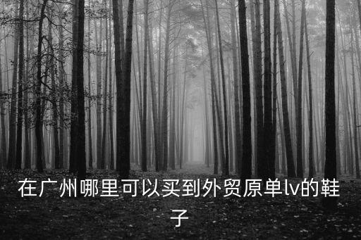 在廣州哪里可以買到外貿原單lv的鞋子