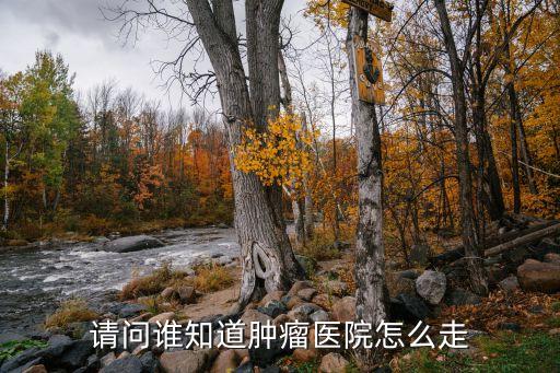 從化市到廣州腫瘤醫院怎么走，廣州腫瘤醫院怎么走
