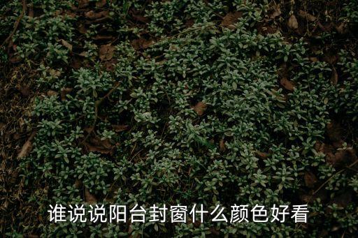 誰說說陽臺封窗什么顏色好看