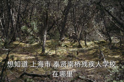 想知道 上海市 奉賢南橋殘疾人學(xué)校 在哪里