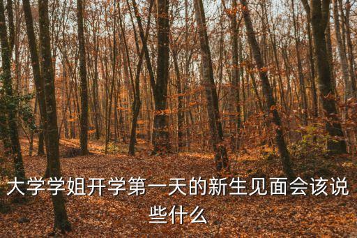 新生見面會，新生見面會說什么比較好