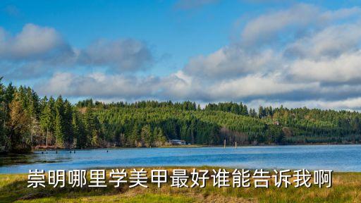 上海市崇明新河美甲，誰知道哦崇明哪里可以學美甲