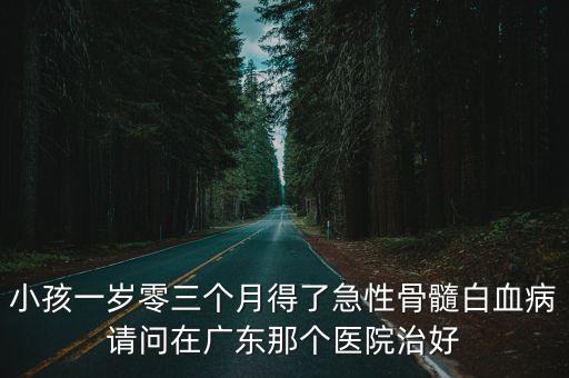 小孩一歲零三個(gè)月得了急性骨髓白血病請(qǐng)問在廣東那個(gè)醫(yī)院治好