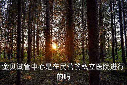 廣州金寶貝國際試管醫療位置，金寶貝官方網址