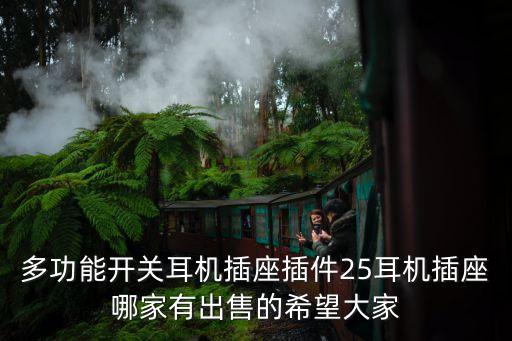 多功能開關(guān)耳機(jī)插座插件25耳機(jī)插座哪家有出售的希望大家