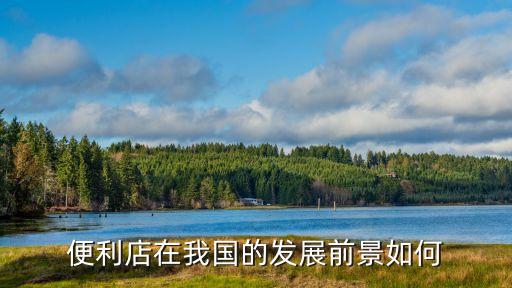 便利店發(fā)展，便利店未來的發(fā)展方向