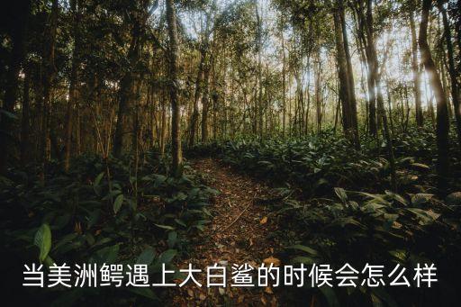 美洲鱷，一只成年美洲鱷的重量是多少