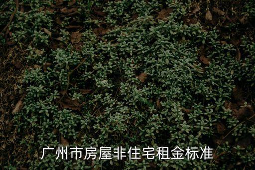 廣州市房屋非住宅租金標(biāo)準(zhǔn)