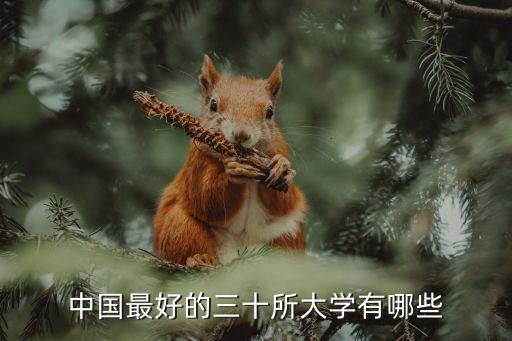 中國最好的三十所大學有哪些