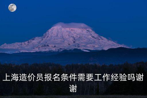 上海市政造價員報考條件，上海造價員報名條件需要工作經驗嗎謝謝