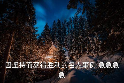 堅(jiān)持成功的例子，堅(jiān)持到底 取得勝利 的例子