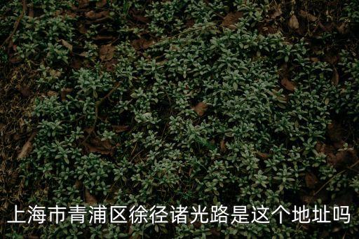 上海市青浦區(qū)徐徑諸光路是這個(gè)地址嗎