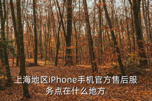 上海地區iPhone手機官方售后服務點在什么地方