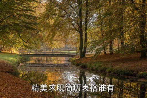 應聘個人簡歷表格，求一份簡歷表格式的