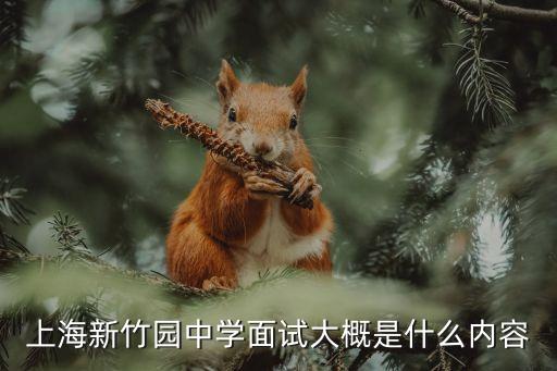 上海新竹園中學面試大概是什么內容