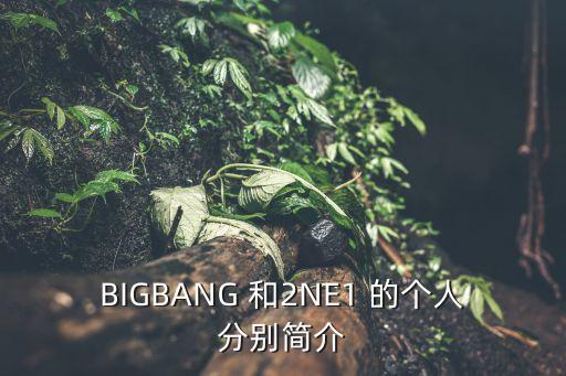 BIGBANG 和2NE1 的個人分別簡介