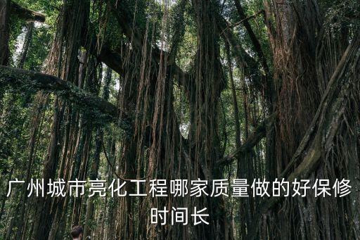 廣州城市亮化工程哪家質(zhì)量做的好保修時(shí)間長(zhǎng)
