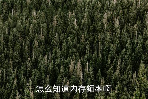 內存條頻率怎么看，內存頻率怎么看的
