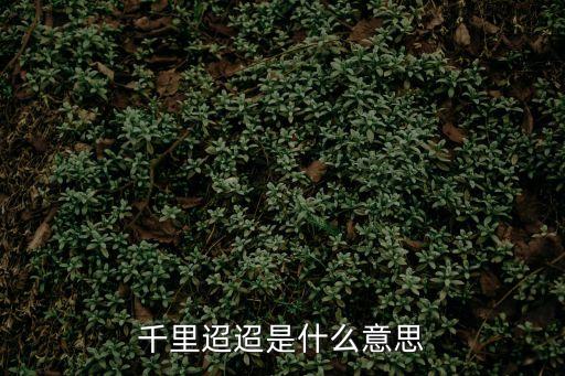 千里迢迢是什么意思