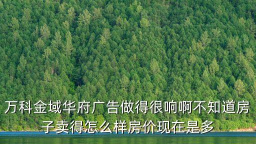 萬(wàn)科金域華府廣告做得很響啊不知道房子賣得怎么樣房?jī)r(jià)現(xiàn)在是多