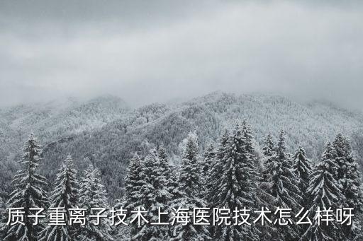 上海市質子重離子醫院 最先進，上海市質子重離子醫院的介紹