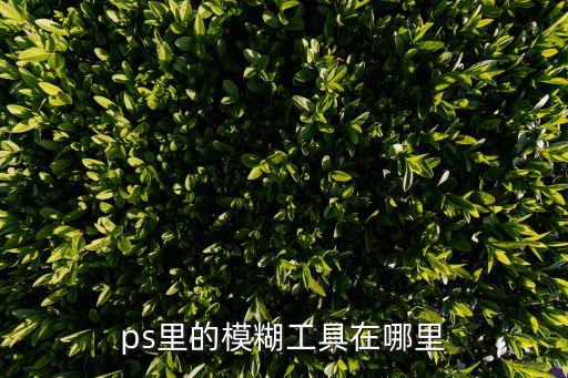 ps里的模糊工具在哪里