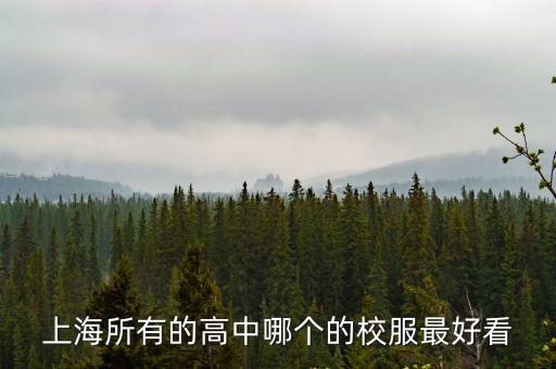 上海所有的高中哪個(gè)的校服最好看