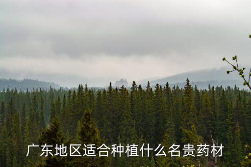藿香適合在廣州這邊種嗎，廣東地區適合種植什么名貴藥材