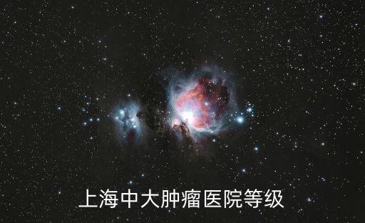 上海中大腫瘤醫院等級