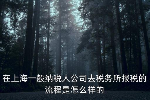 上海市稅務局報稅流程，上海網(wǎng)上報稅流程