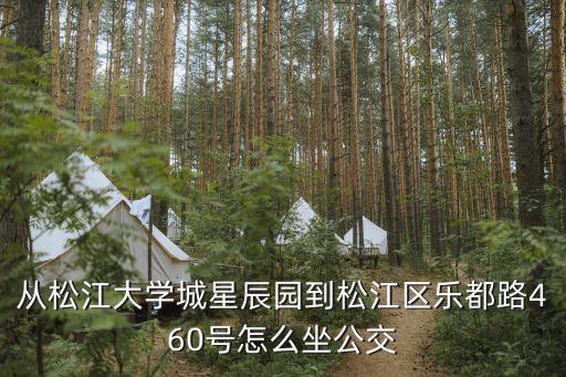 從松江大學(xué)城星辰園到松江區(qū)樂(lè)都路460號(hào)怎么坐公交