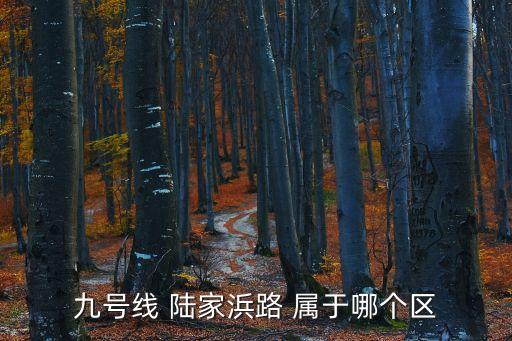 九號線 陸家浜路 屬于哪個區