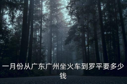 一月份從廣東廣州坐火車到羅平要多少錢