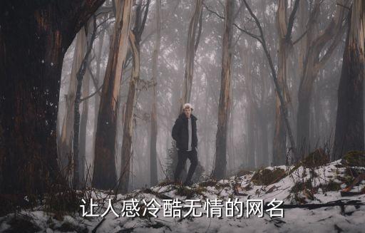 讓人感冷酷無(wú)情的網(wǎng)名