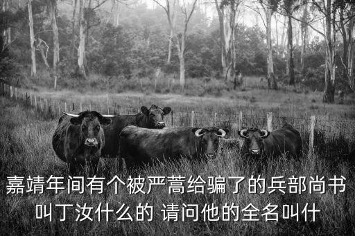 丁汝夔，嘉靖年間有個被嚴(yán)蒿給騙了的兵部尚書叫丁汝什么的 請問他的全名叫什
