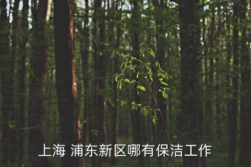 環衛保潔 上海市，上海 浦東新區哪有保潔工作