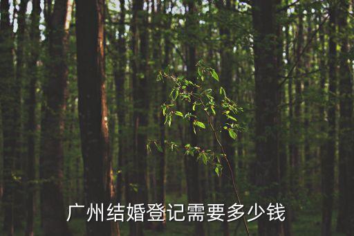 廣州結(jié)婚費用多少，在廣州結(jié)婚大概要花多少錢