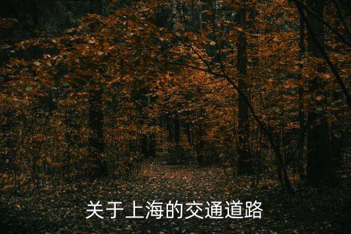 關于上海的交通道路