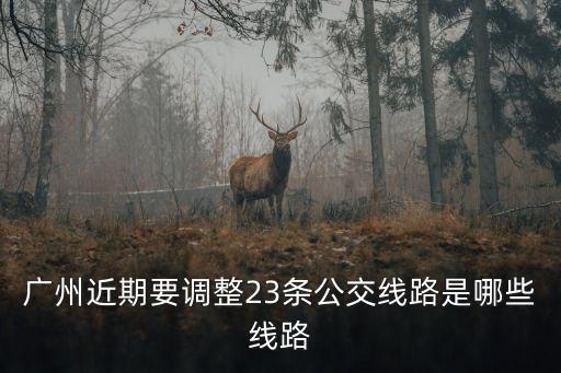 廣州公交車(chē)最新規(guī)劃，廣州目前更改了多少條公交線路