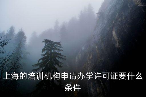 上海的培訓(xùn)機(jī)構(gòu)申請(qǐng)辦學(xué)許可證要什么條件