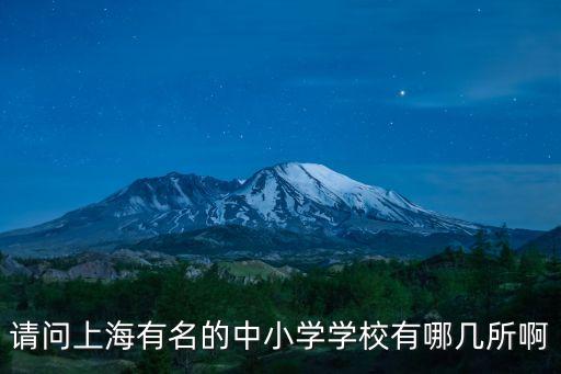 請問上海有名的中小學(xué)學(xué)校有哪幾所啊