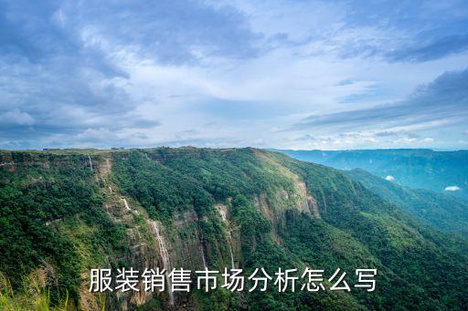 服裝行業(yè)分析，服裝銷售市場分析怎么寫