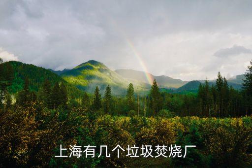上海市垃圾焚燒發電廠有幾個，上海有幾個垃圾焚燒廠