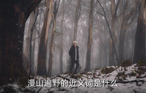 漫山遍野的近義詞是什么