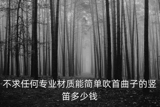 不求任何專業材質能簡單吹首曲子的豎笛多少錢
