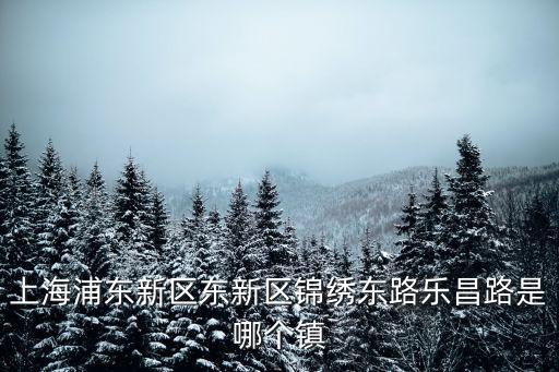 上海市唐鎮(zhèn)屬于，上海唐鎮(zhèn)屬于哪個(gè)區(qū)