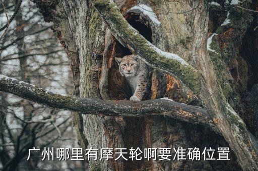 廣州三江口摩天輪，廣州的摩天輪在那