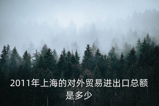 上海市對外經濟調查報告，2011年上海的對外貿易進出口總額是多少